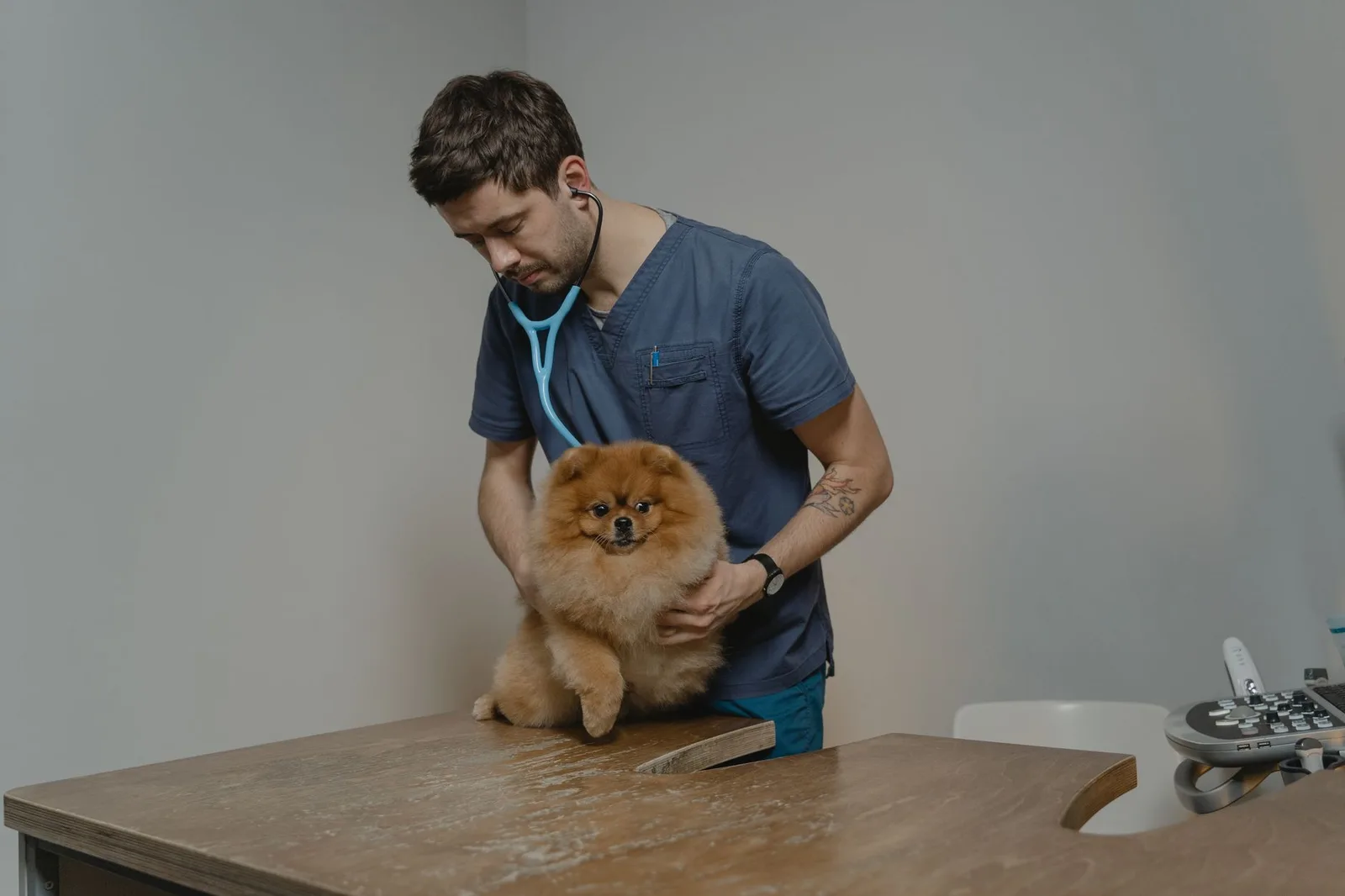 Veterinář a Google recenze: jak budovat důvěru majitelů zvířat